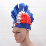 France Mohawk Wig