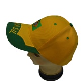 Brazil  Baesball Cap