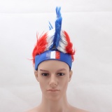 France Mohawk Wig